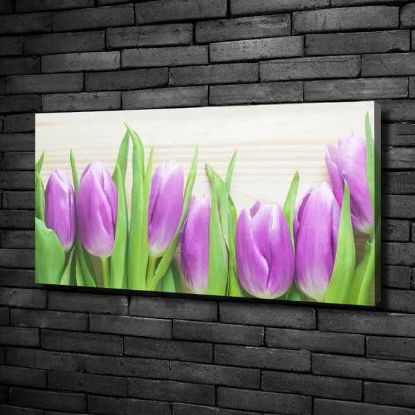 Foto obraz na plátně Fialové tulipány oc-78755149