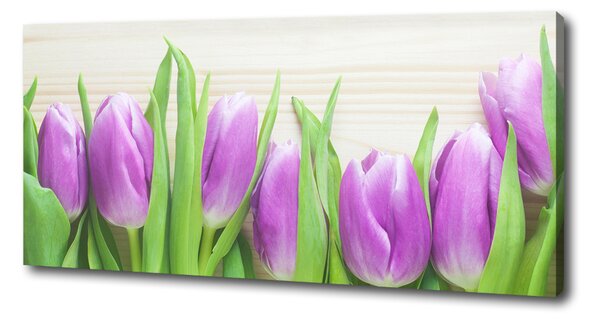 Foto obraz na plátně Fialové tulipány oc-78755149