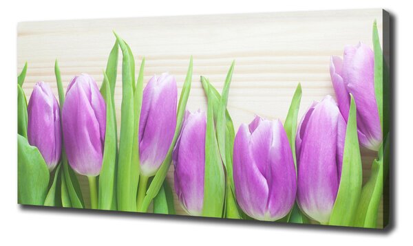 Foto obraz na plátně Fialové tulipány oc-78755149