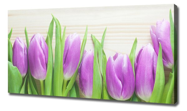 Foto obraz na plátně Fialové tulipány oc-78755149