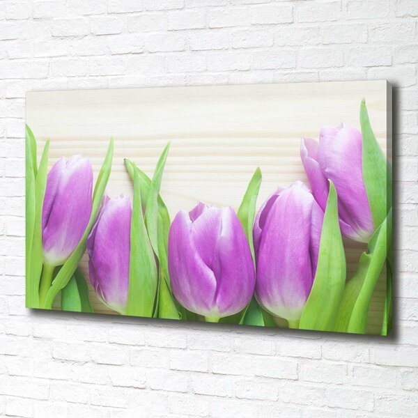 Foto obraz na plátně Fialové tulipány oc-78755149