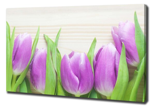 Foto obraz na plátně Fialové tulipány oc-78755149