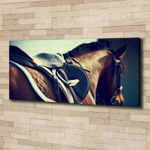 Foto obraz na plátně Sedlo oc-79200372
