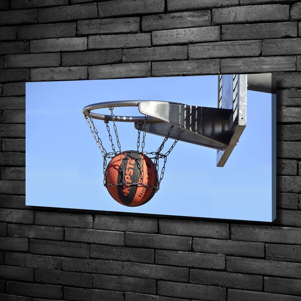 Foto obraz na plátně Basketbal oc-79434787