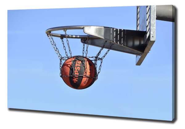 Foto obraz na plátně Basketbal oc-79434787