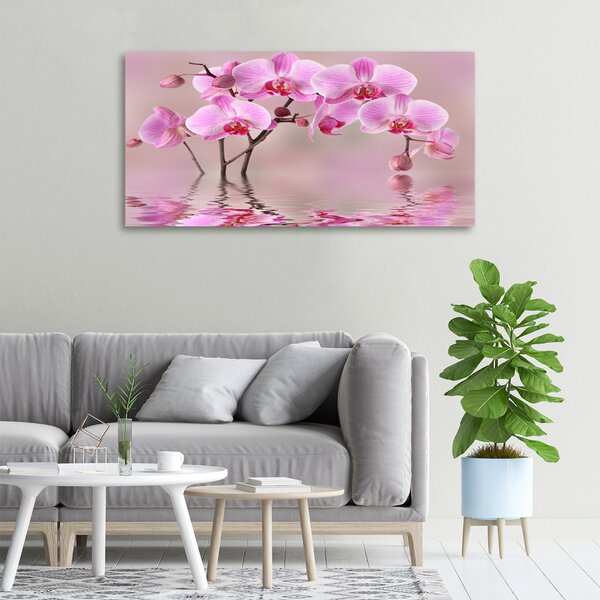 Foto obraz tištěný na plátně Růžová orchidej oc-79883275