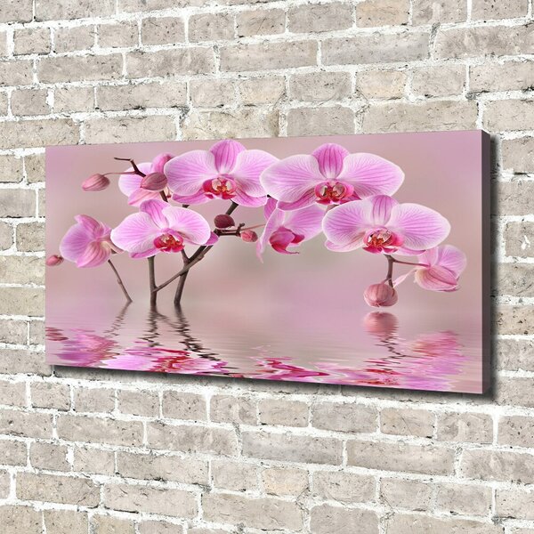 Foto obraz tištěný na plátně Růžová orchidej oc-79883275