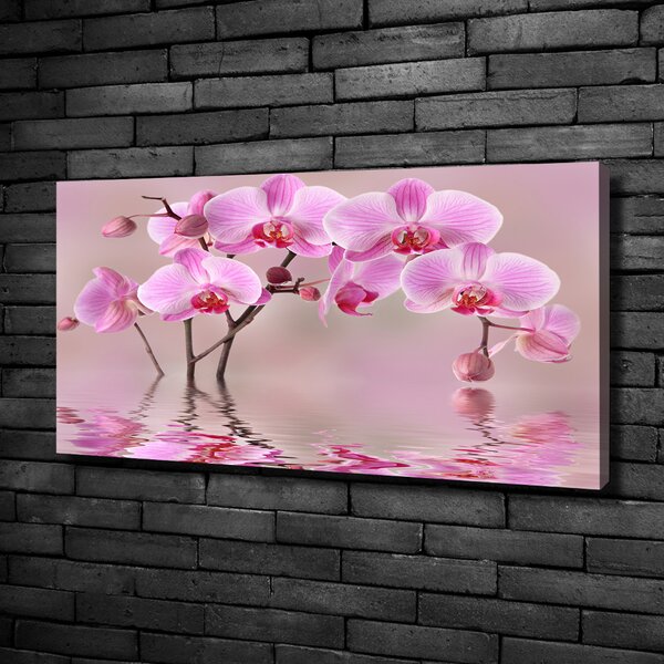 Foto obraz tištěný na plátně Růžová orchidej oc-79883275
