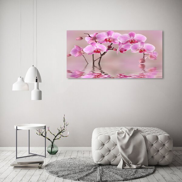 Moderní foto obraz na stěnu Růžová orchidej osh-79883275