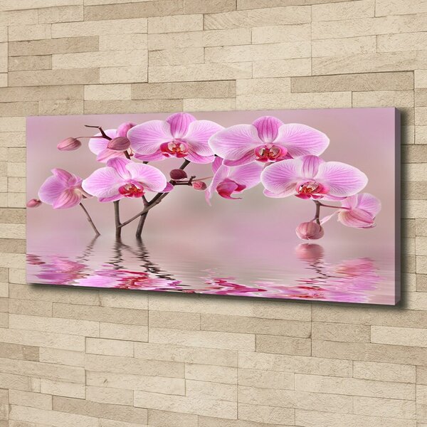 Foto obraz tištěný na plátně Růžová orchidej oc-79883275