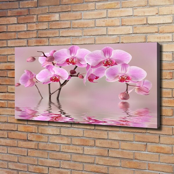 Foto obraz tištěný na plátně Růžová orchidej oc-79883275