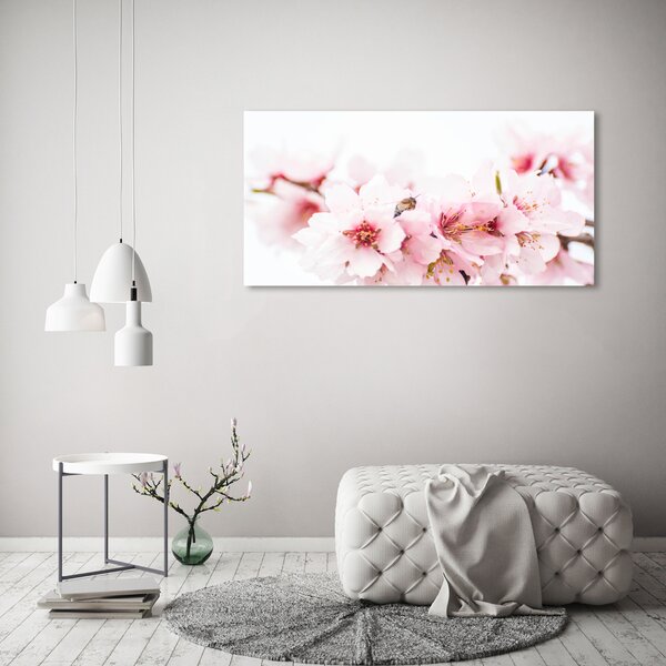 Moderní obraz canvas na rámu Květy višně oc-79943111