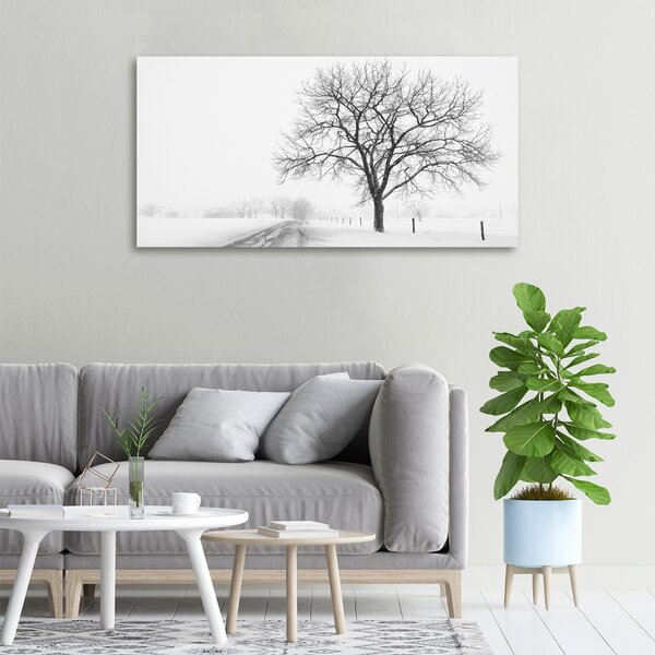 Foto obraz na plátně Strom zima oc-80032038
