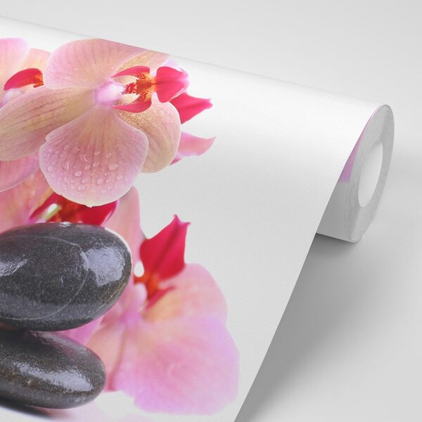 Fototapeta kameny a orchidej