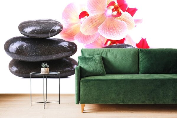 Fototapeta kameny a orchidej