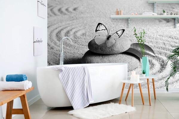 Fototapeta černobílý motýl na Zen kameni