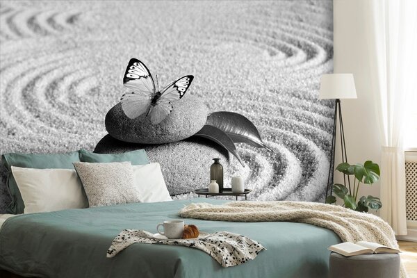 Fototapeta černobílý motýl na Zen kameni