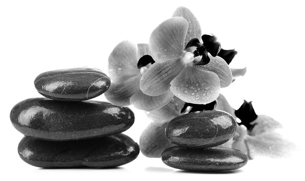 Fototapeta černobílé kameny a orchidej