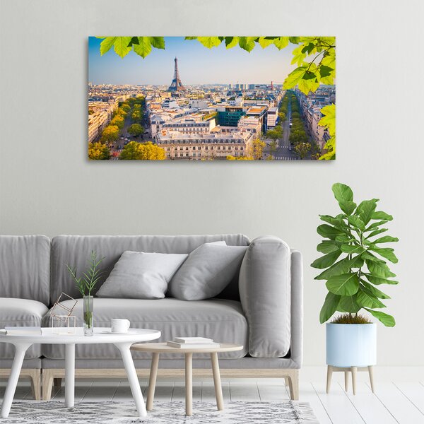 Foto obraz canvas Paříž oc-80291148