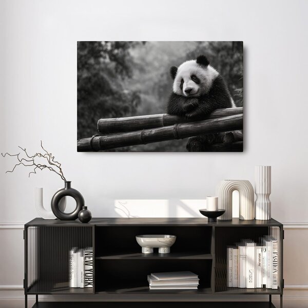 Obraz panda odpočívající na bambusu