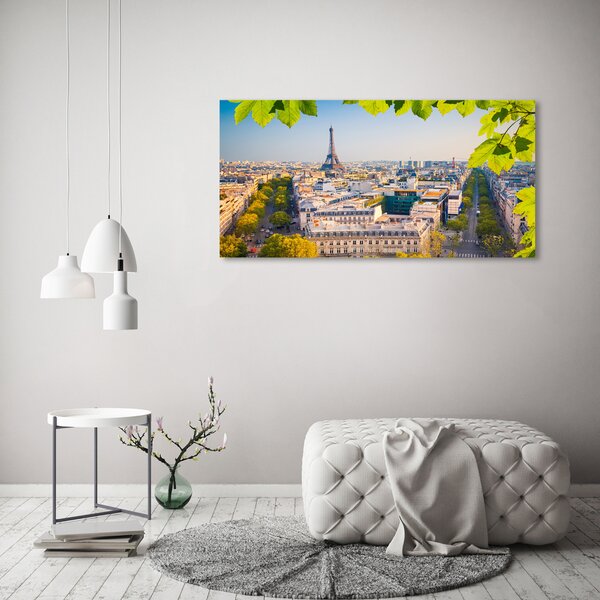 Foto obraz canvas Paříž oc-80291148