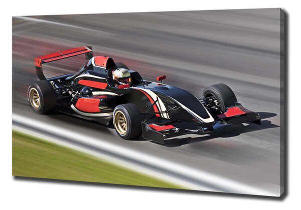 Foto obraz na plátně Formule 1 oc-80445795