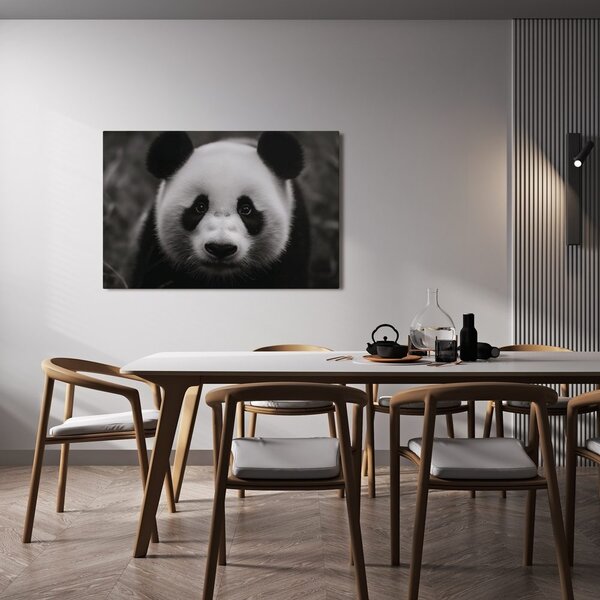 Obraz roztomilá panda v přírodě