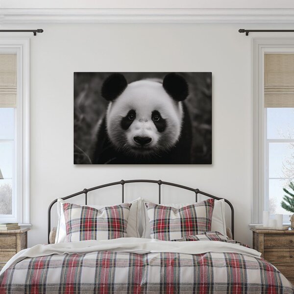 Obraz roztomilá panda v přírodě
