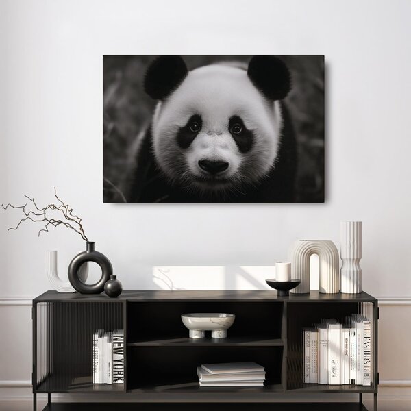 Obraz roztomilá panda v přírodě