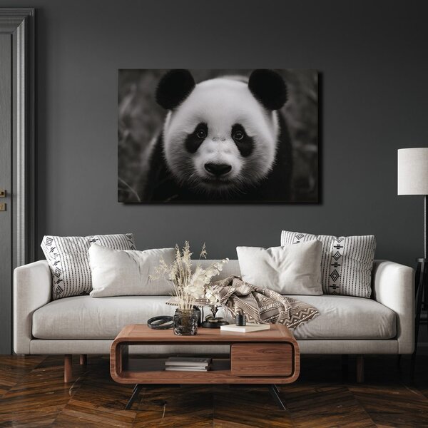 Obraz roztomilá panda v přírodě