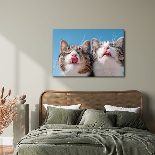 Obraz hravé kočky na modrém pozadí