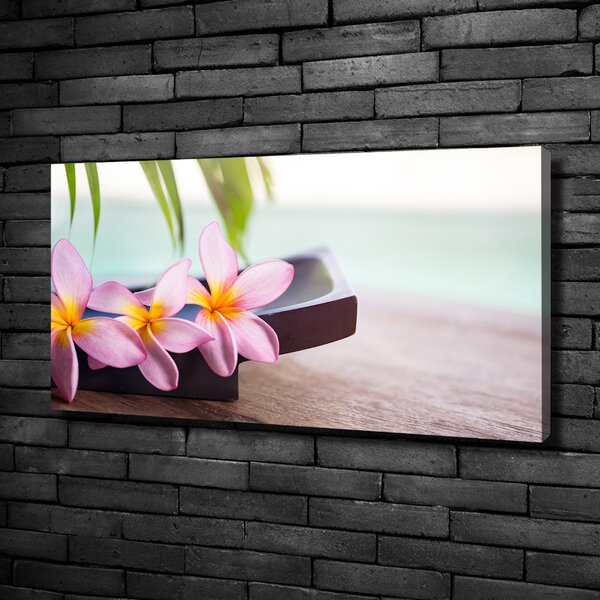 Moderní obraz canvas na rámu Plumérie oc-80655209