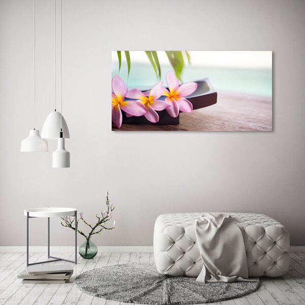 Moderní obraz canvas na rámu Plumérie oc-80655209