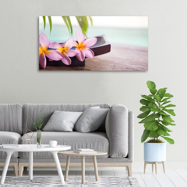 Moderní obraz canvas na rámu Plumérie oc-80655209
