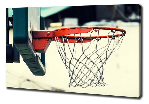 Foto obraz na plátně Basketbal oc-80693671