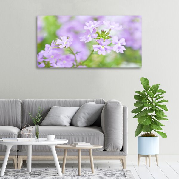 Moderní obraz canvas na rámu Werbena oc-80724437