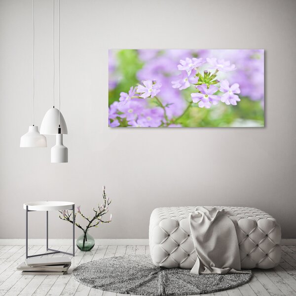 Moderní obraz canvas na rámu Werbena oc-80724437