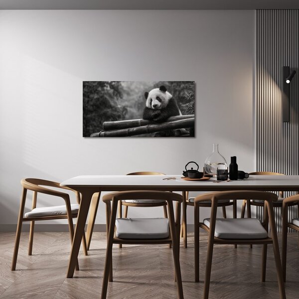 Obraz klidná panda v přírodě