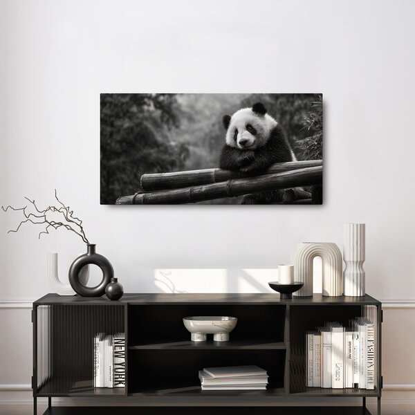 Obraz klidná panda v přírodě