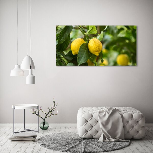 Foto obraz na plátně Citrony na stromě oc-80843787