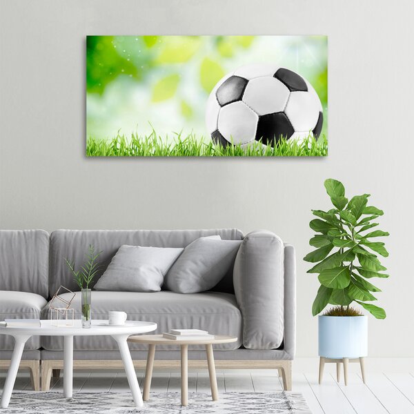 Foto obraz na plátně Fotbal oc-80877842