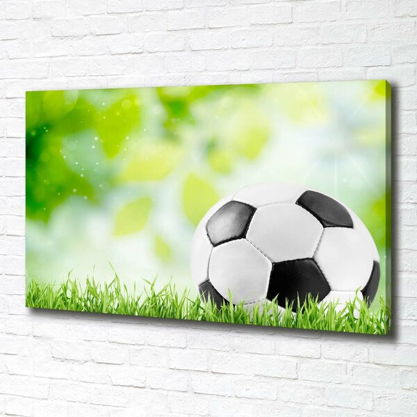 Foto obraz na plátně Fotbal oc-80877842
