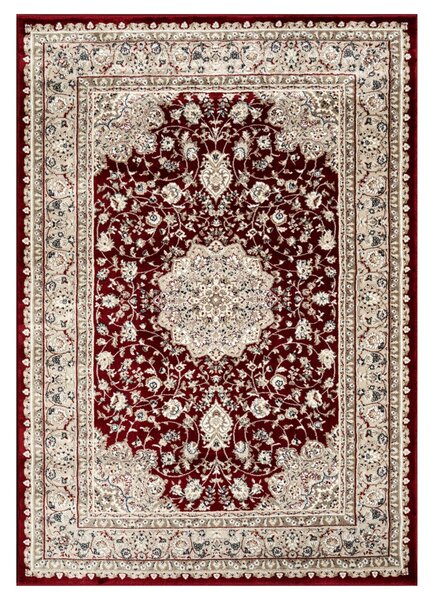 Angel Carpet, Kusový koberec Sultan 12 Red, 60x110, červená, kancelář