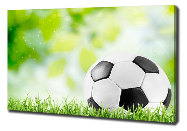 Foto obraz na plátně Fotbal oc-80877842