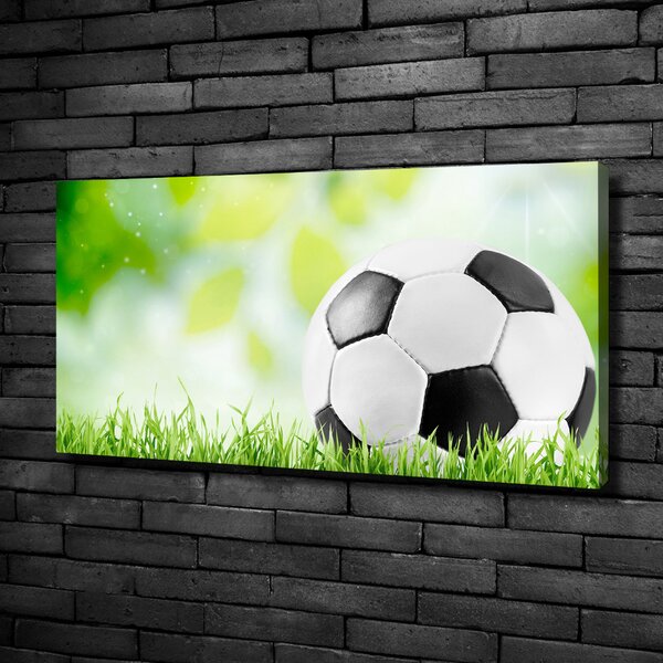 Foto obraz na plátně Fotbal oc-80877842