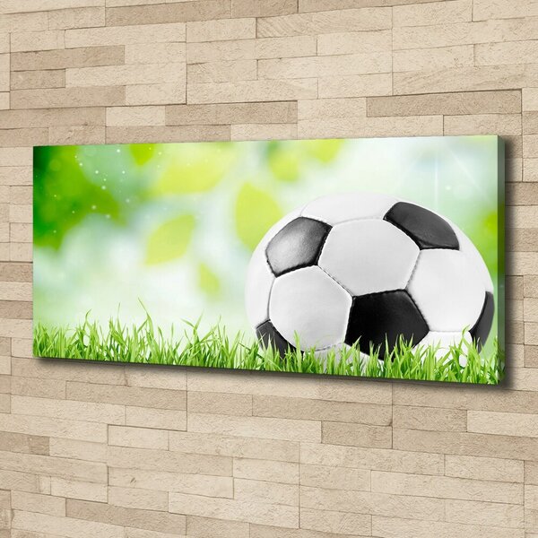Foto obraz na plátně Fotbal oc-80877842