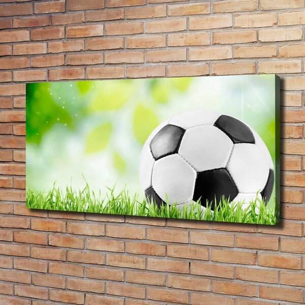 Foto obraz na plátně Fotbal oc-80877842