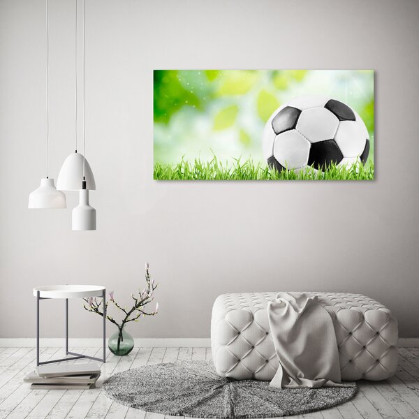 Foto obraz na plátně Fotbal oc-80877842