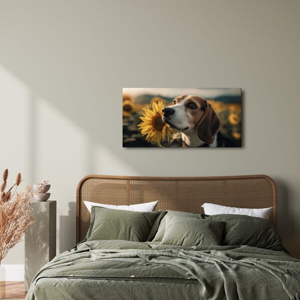 Obraz beagle se slunečnicí
