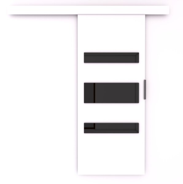 Posuvné dveře DESIO 106 x 205 bílá černá Laocbel
